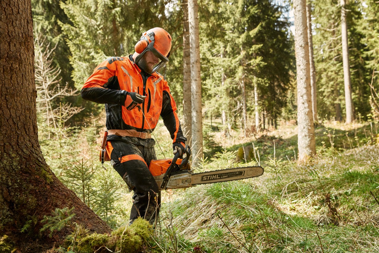 Trabajador forestal con un equipo de protección llevando una motosierra de gasolina STIHL MS 462 C en un bosque de coníferas