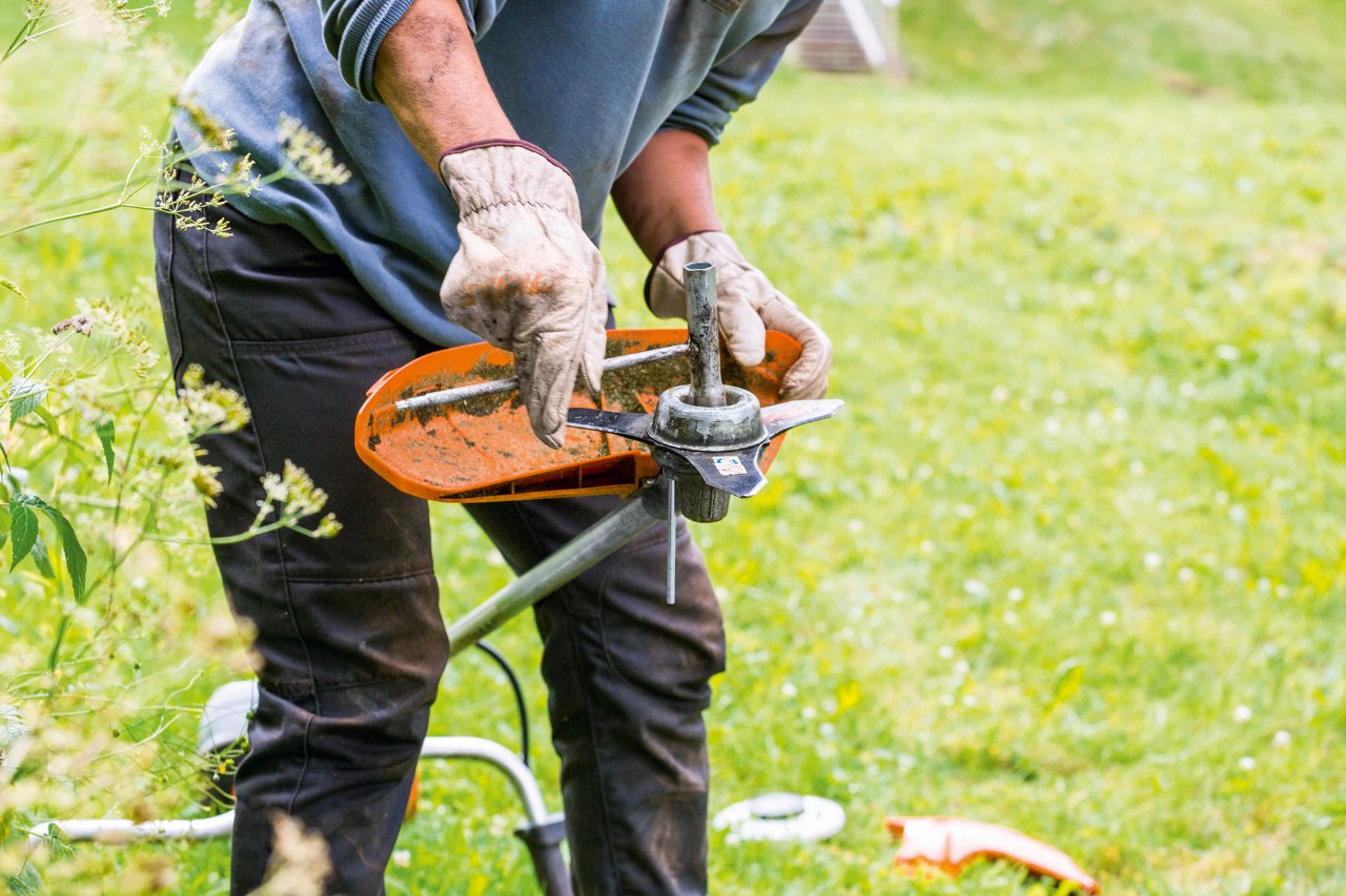 Durante el mantenimiento de la desbrozadora STIHL FS 131 se limpia el cabezal de corte