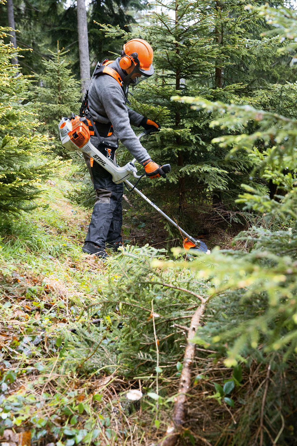 Trabajador forestal con equipo de protección para desbrozadora STIHL y un arnés forestal Advance X-treem en un pinar
