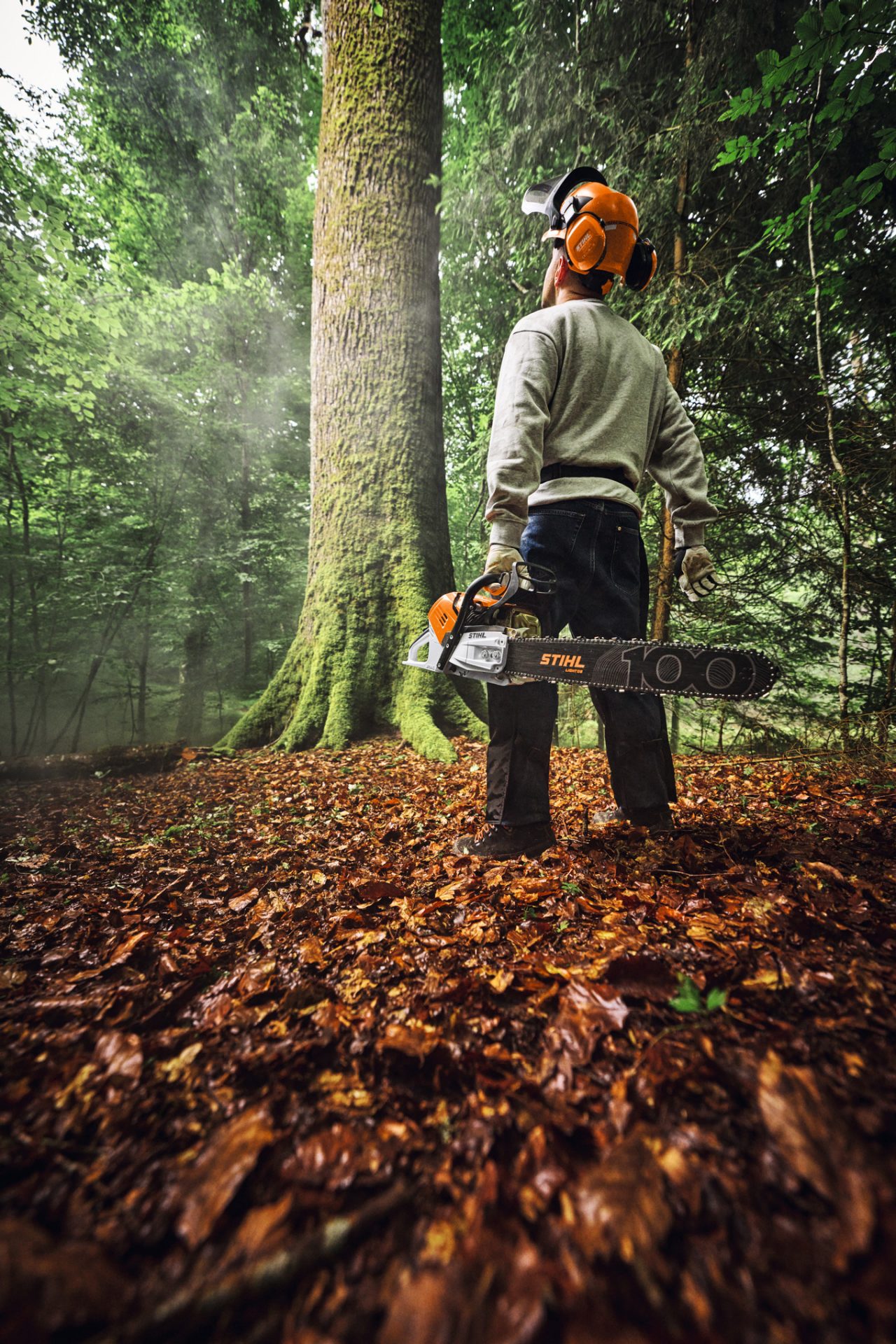  Trabajador forestal con motosierra STIHL MS 500i y espada Light 06 Edición Centenario