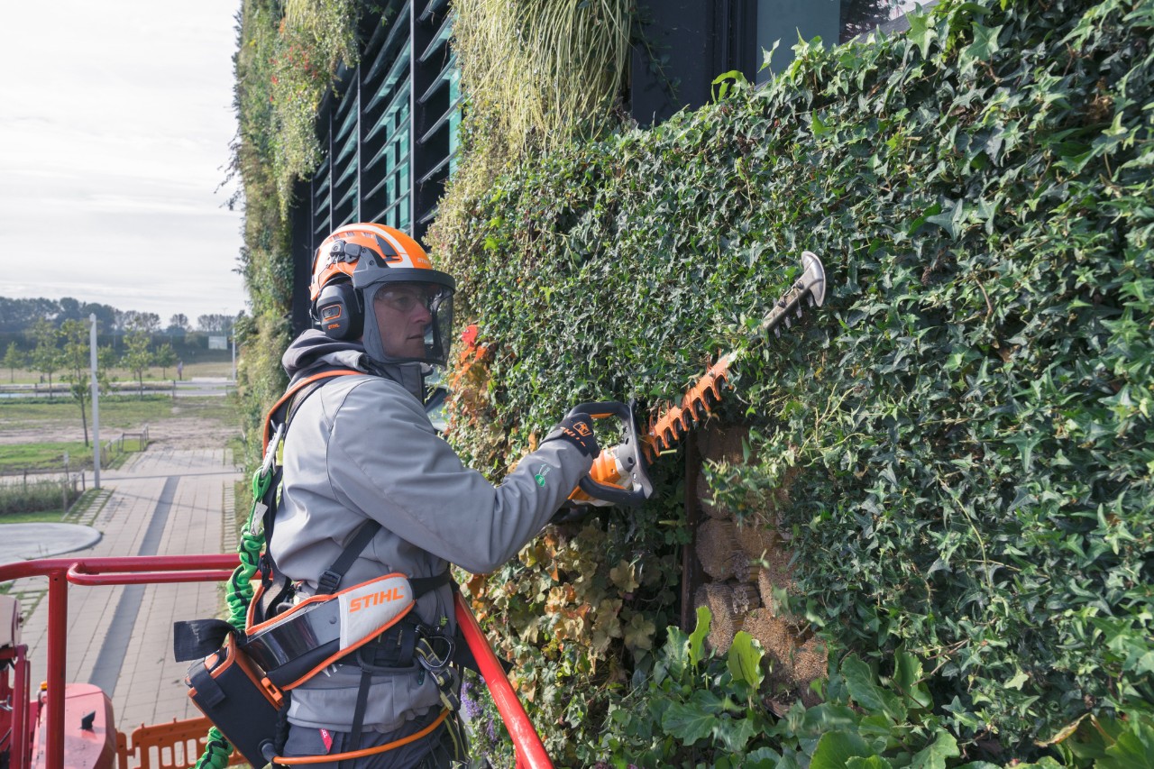 Un hombre en una plataforma elevadora corta el ajardinamiento de una fachada