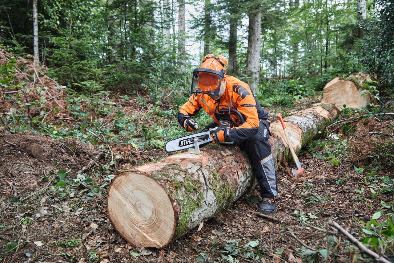 Un hombre con equipamiento de protección está cortando un árbol ya talado con una motosierra STIHL de espada maciza