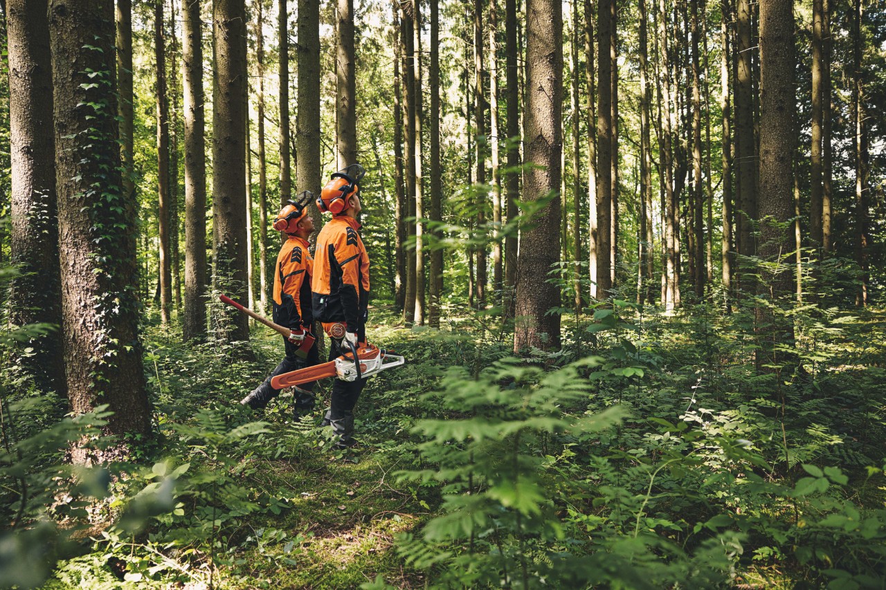 Dos hombres con equipamiento de protección caminan por el bosque con una hacha forestal y una motosierra de batería STIHL mirando hacia arriba