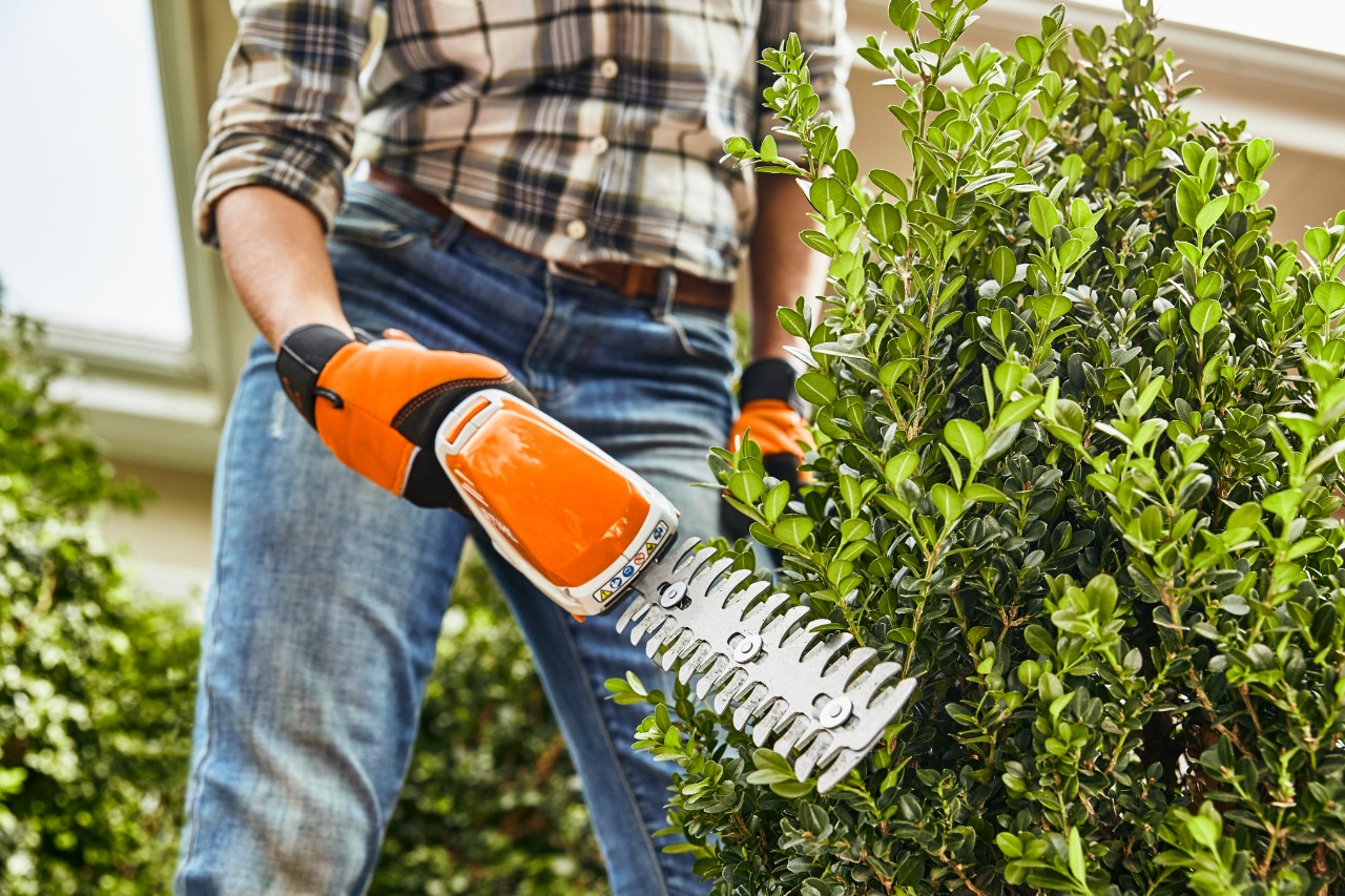 Poda de un arbusto con el cortasetos de batería STIHL HSA 26