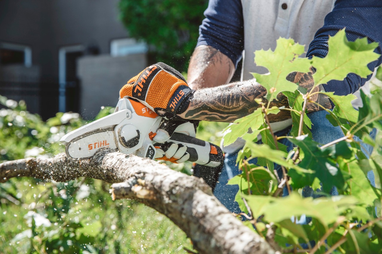 Corte de madera de un seto con la minisierra de batería STIHL GTA 26 con stihl as system